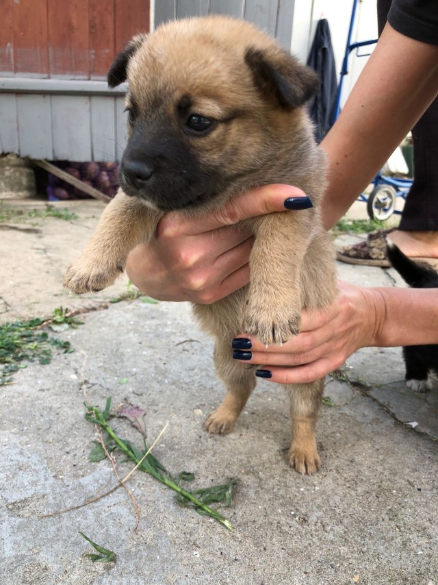 Наконец сбывается мечта