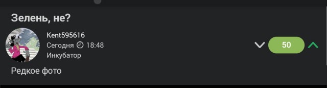 Зелень, не?