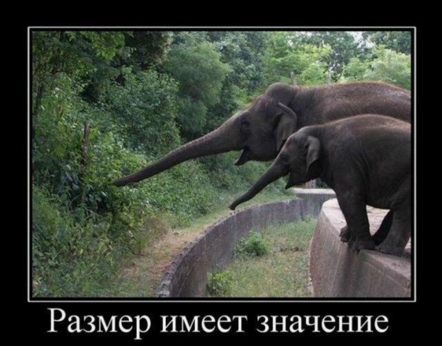 ТруЪ демотиваторы