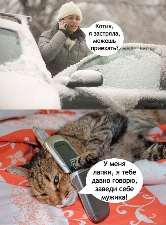 Так себе картинки 12.12.21