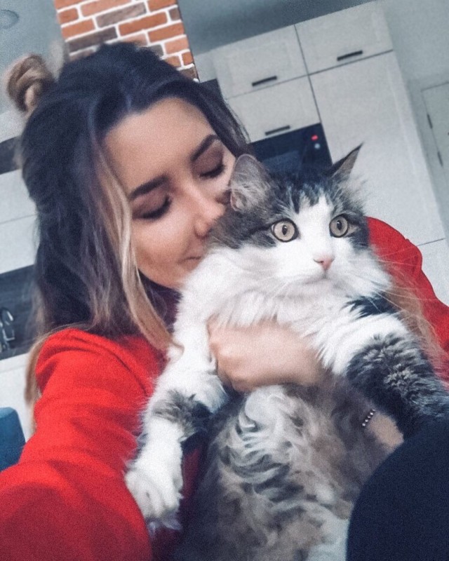Девушки котовторника