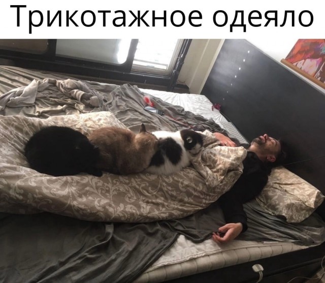 Так себе картинки 07.02.22