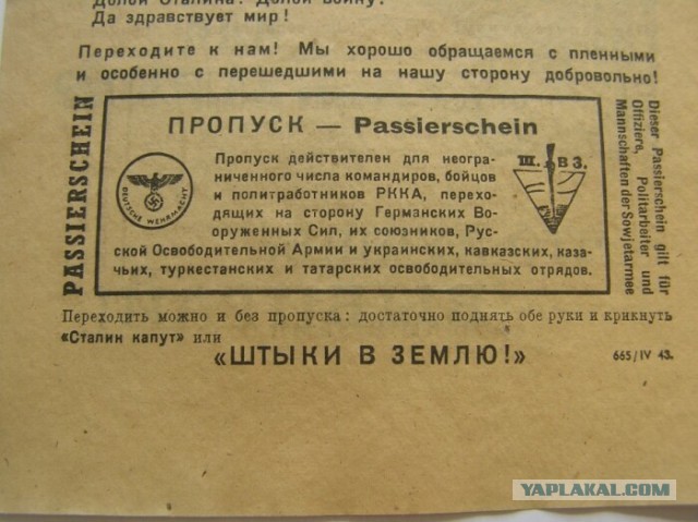 Генпрокуратура грозит уголовной ответственностью за участие в акциях протеста «в условиях беспрецедентной информационной атаки»