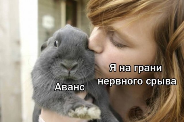 Картинки и мемы для настроения 31.03.2022