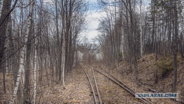 «Ядерные зубы для Акулы» — ступени советских ракет Р-39 «Барк» в уральском лесу