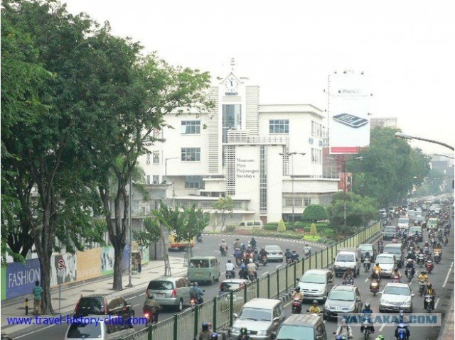 Они живут только 40 лет