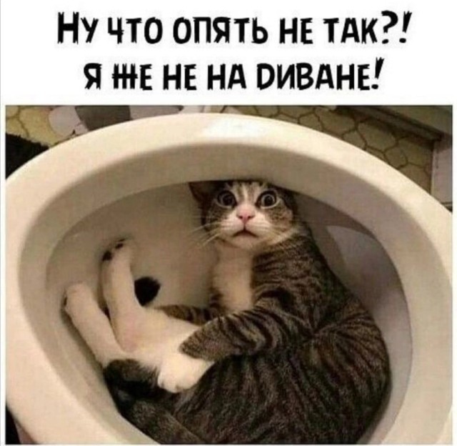 Картинки и мемы для настроения - 15