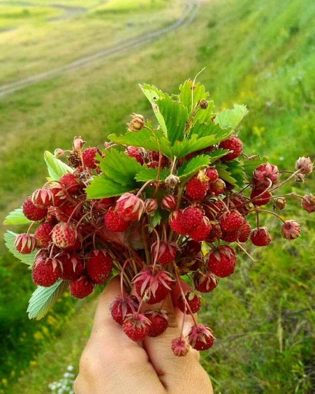Разные хорошие картинки, местами даже атмосферно