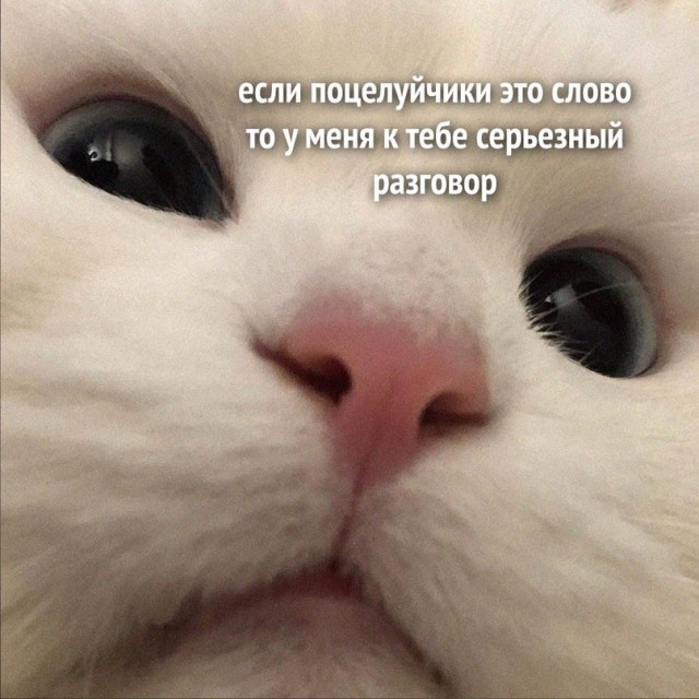 Немного картинок для настроения - 105