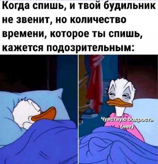Картинки и мемы для настроения - 123