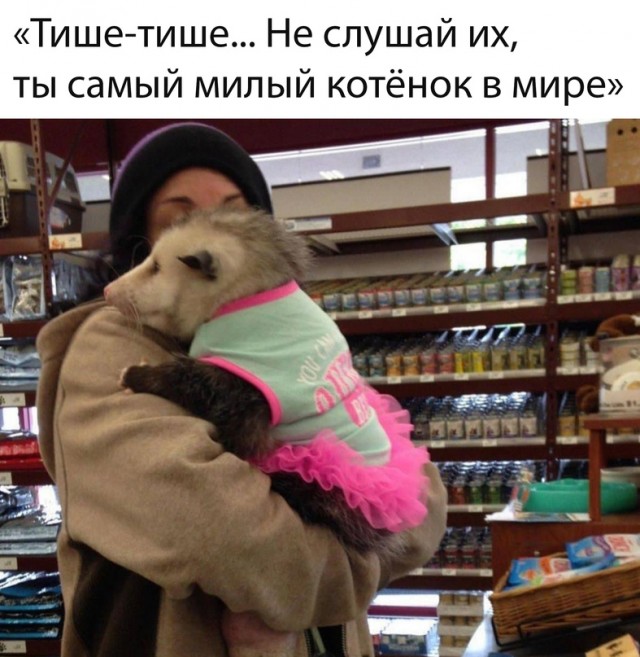 Немного картинок для настроения - 133