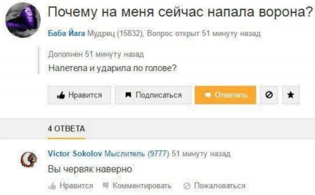 Червячки в Дмитровском районе Подмосковья