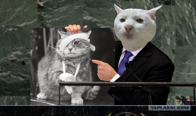 Неприемлемо