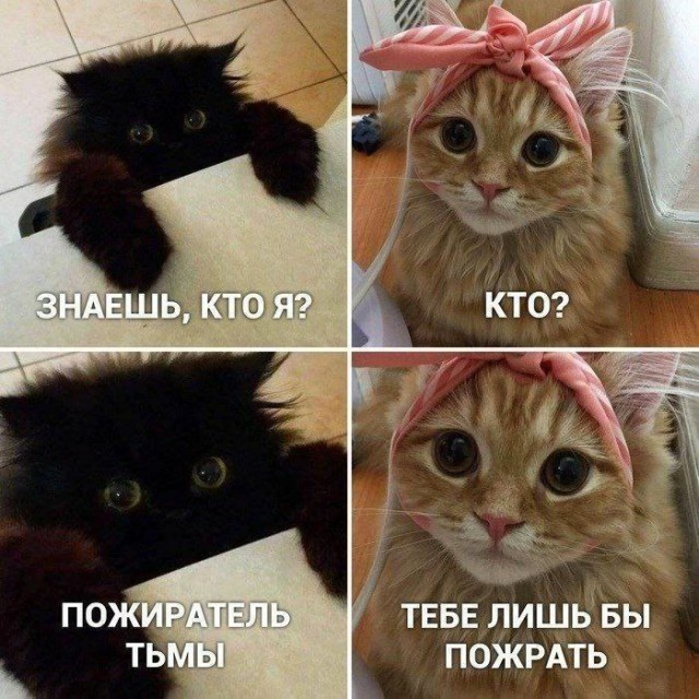 Картинки и мемы для настроения - 181
