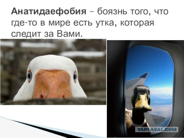 Нашел кнопку