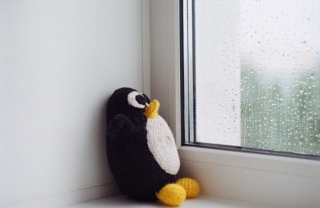 Россияне массово мигрируют на пиратские версии Windows — уход Microsoft не привел к победе Linux