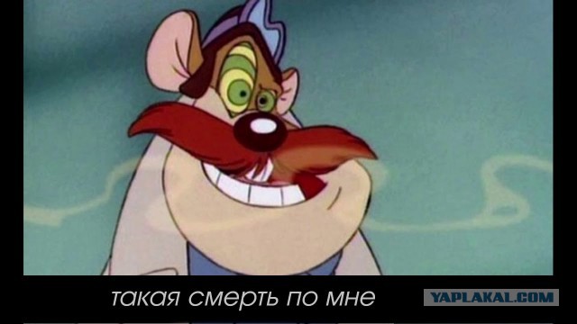В Италии сыровара насмерть задавило 25 тысячами головок сыра