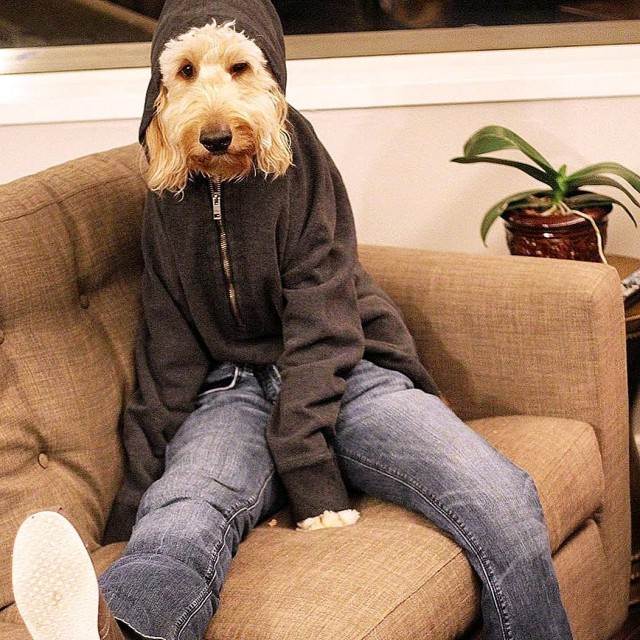 Мечты сбываются