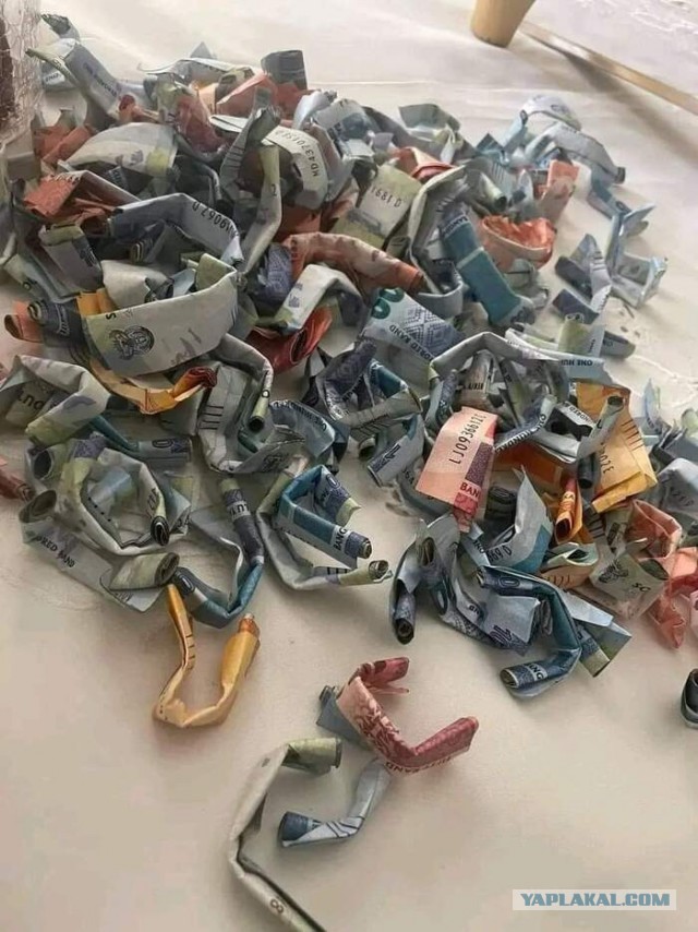 Гаишники с югов