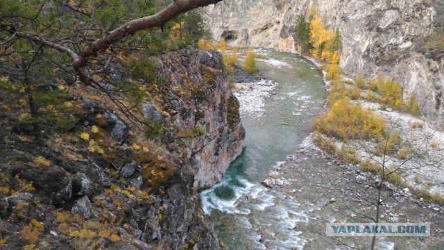 Краски осени