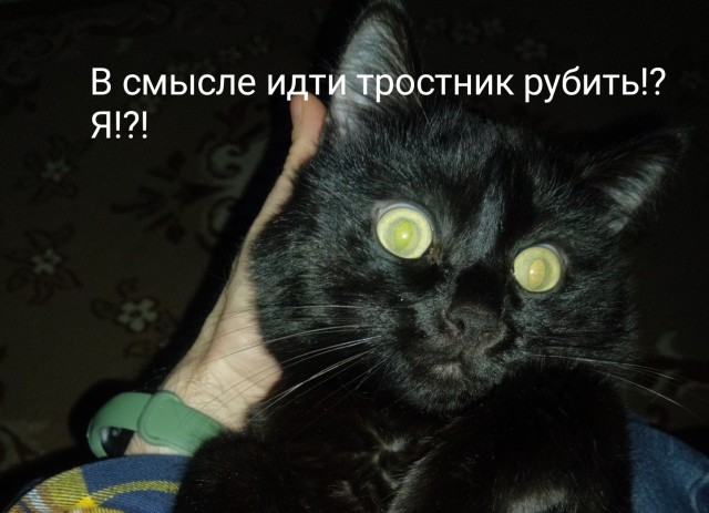 "Ты узнаешь ее из тысячи" Как распознать лесбиянку