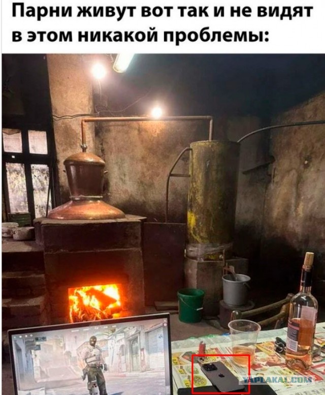 Прикольные и просто красивые картинки 29.12.2023