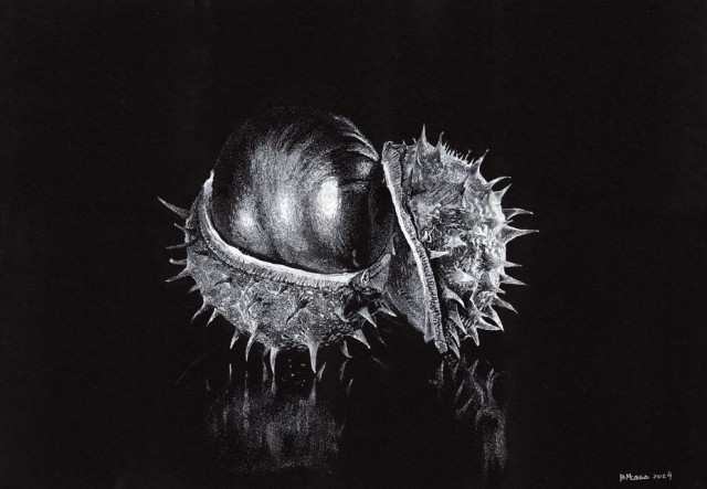 Белым по черному-2