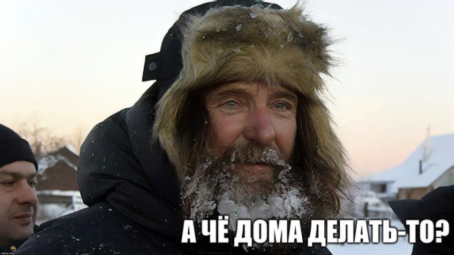 Мальтийская болонка год выживала в подольском лесу совсем одна.