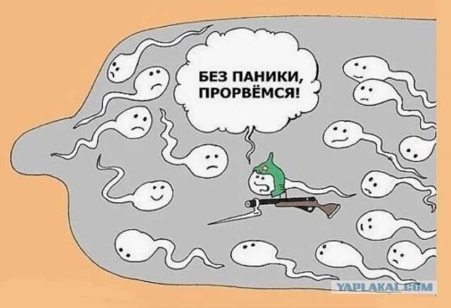 Белые кровяные тельца уничтожают сперматозоидов