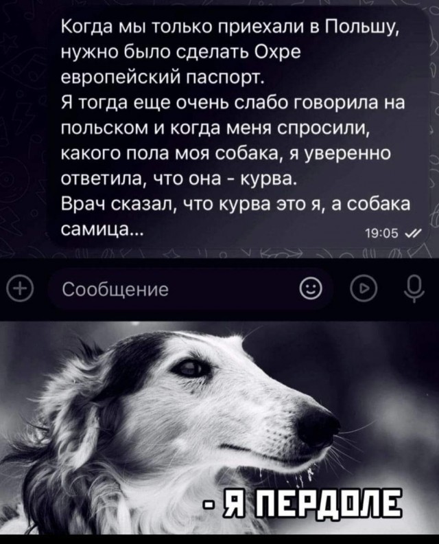 Маленькая пятница