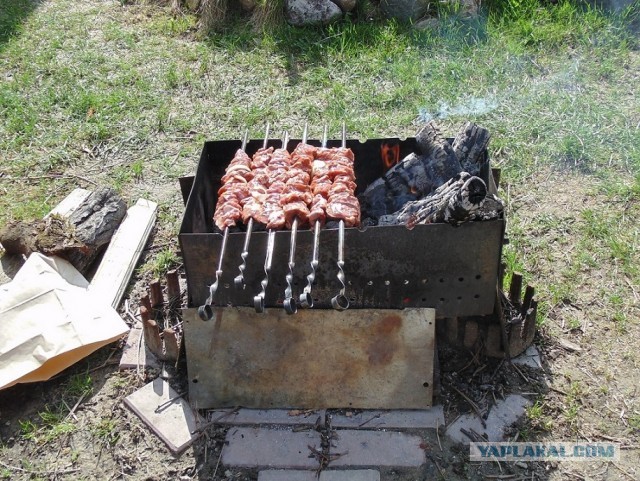 Дача, грибы, мясо, овощи.