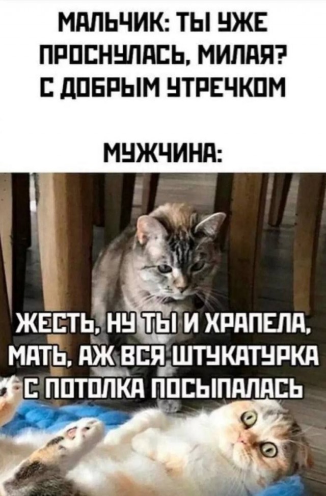 Никакие картинки
