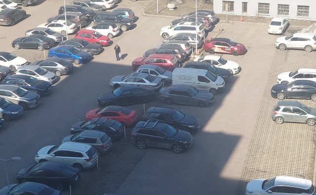 Всё, что нужно знать о владельцах БМВ