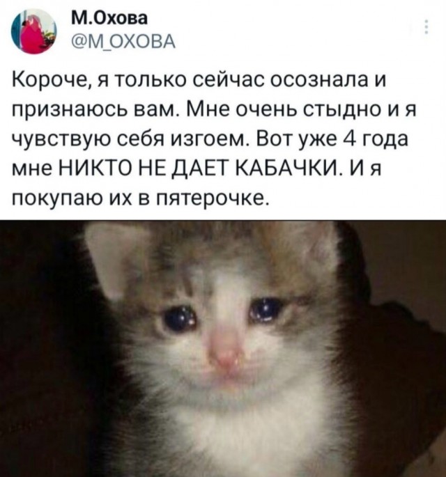 Весёлый полтишок 27.08.24