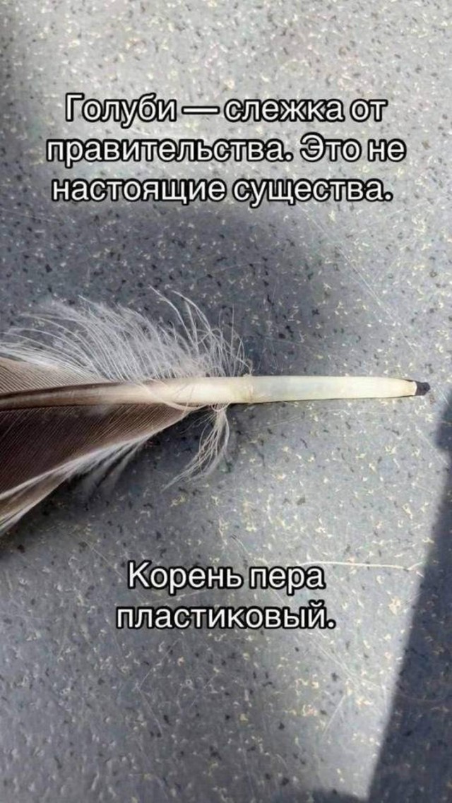 Детство