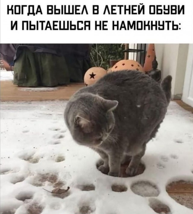 Завалялось тут случайно немного забавных картинок