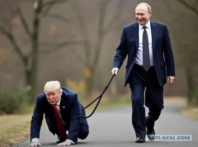 По следам недавних событий