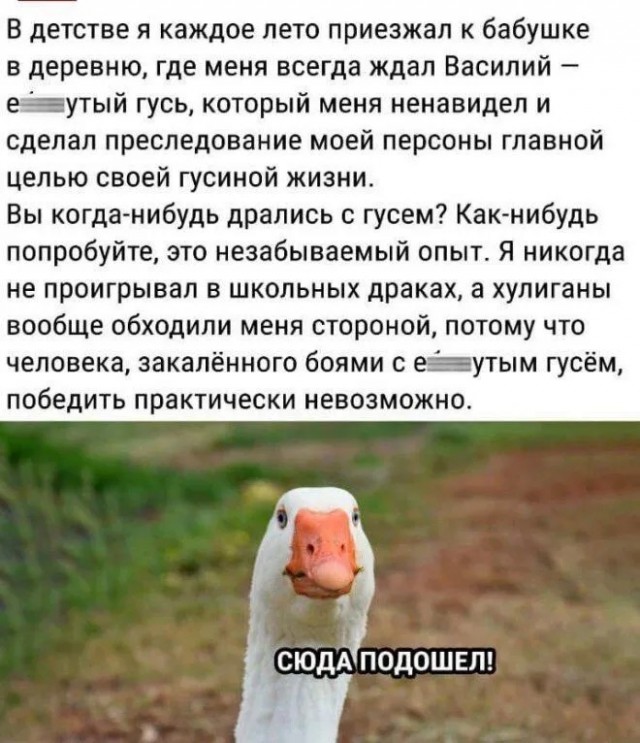 - Официант! У меня холодный суп!