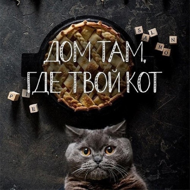 Так себе картинки 27.05.25