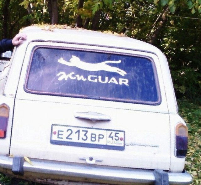 Так себе картинки 26.06.25