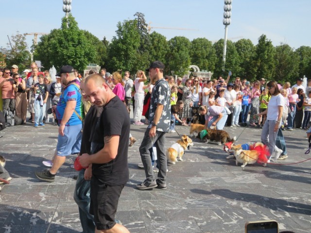 Парад корги в Москве на ВДНХ