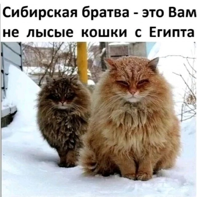 Прикольные и просто красивые картинки 18.11.2025