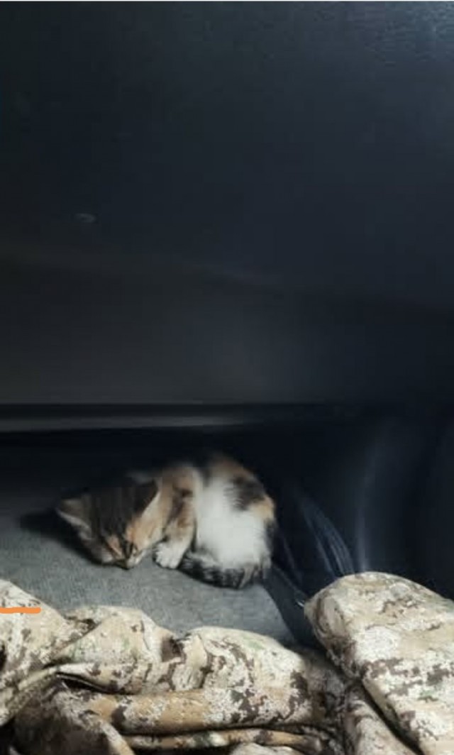 Подарок судьбы