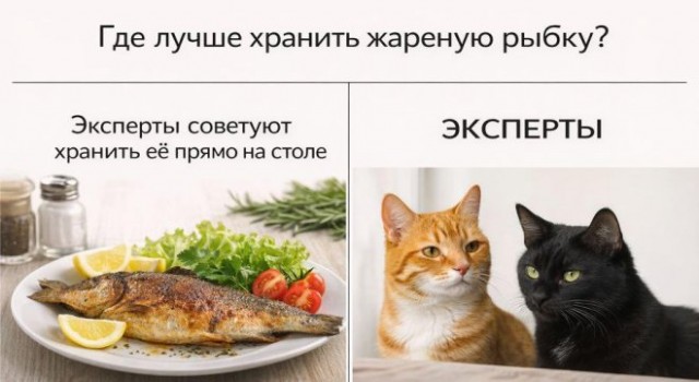 Картиночки, баянчики 02 февраля