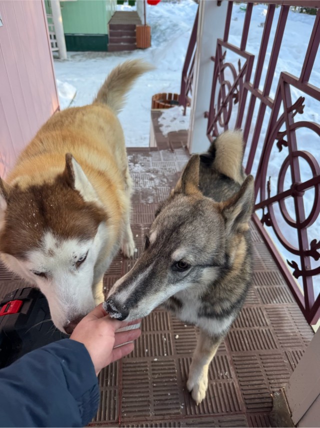 Катэн