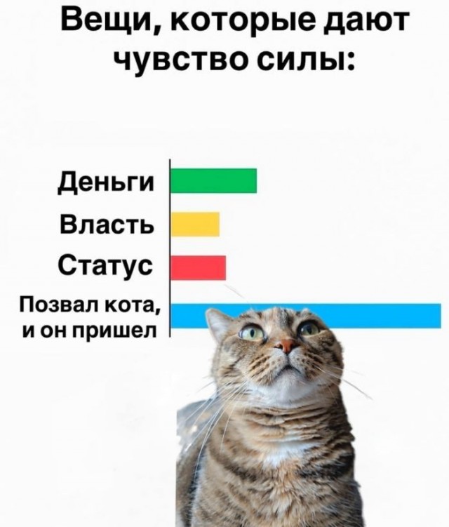 Воскресные картинки