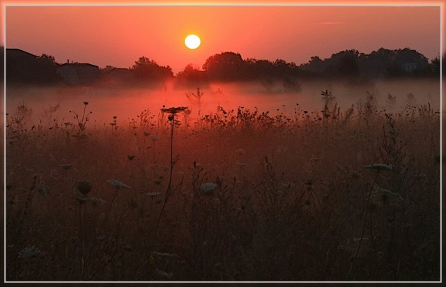 Опасное хобби моего мужа