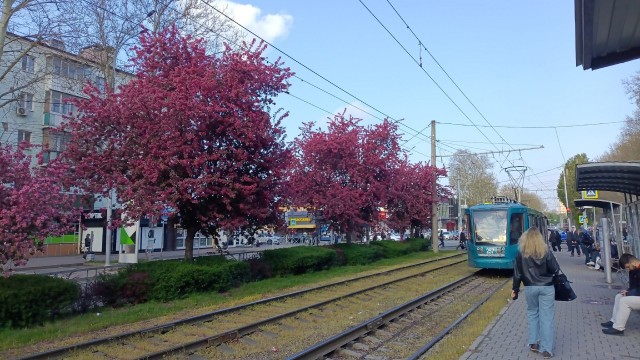 Формула 1 2025 и 2026