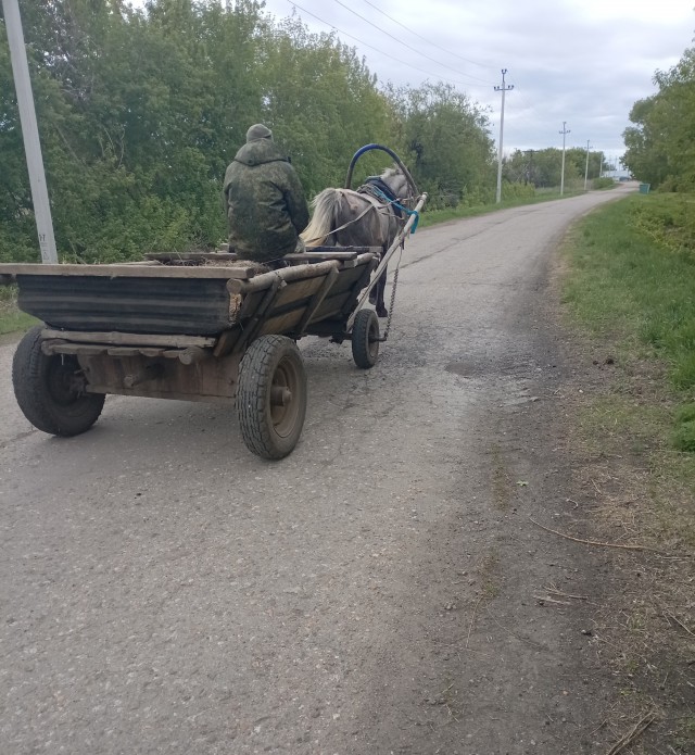 КОНЬбриолет