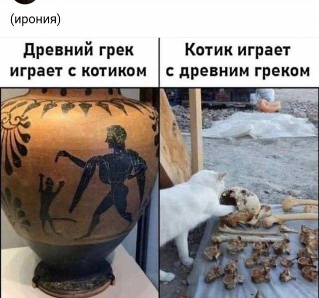 Картинки для деградации 257 (разной степени свежести)